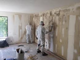 Trusted Avon Lake, OH Mold Removal Experts